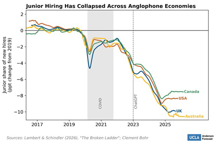 A line graph shows how junior hiring has collapsed across Anglophone economies.