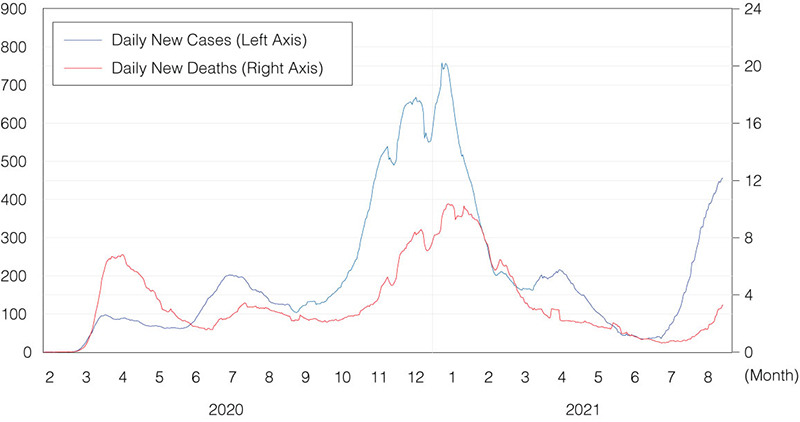 Figure 4. U.S. daily COVID-19 new cases and new deaths per 1 million population
